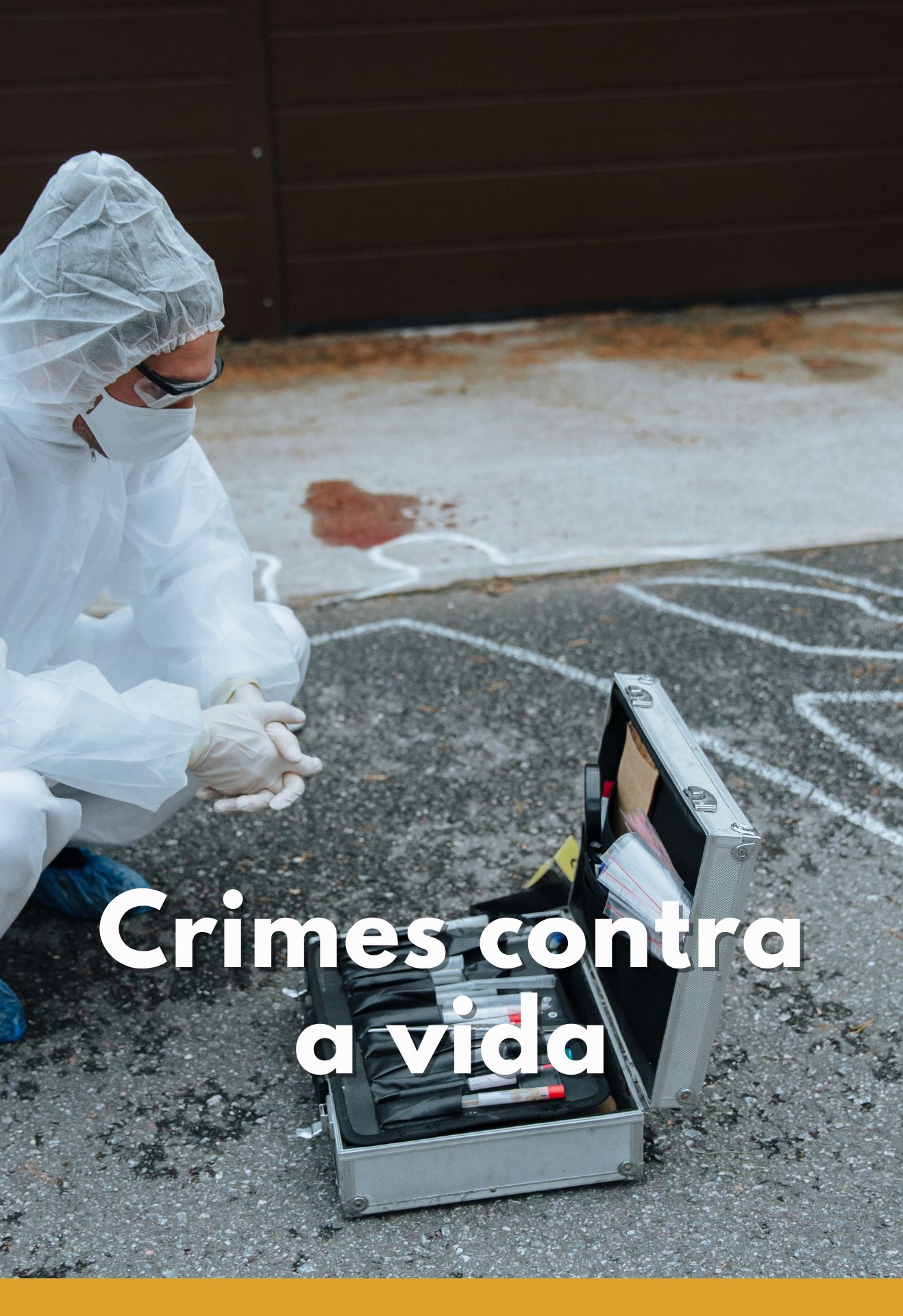 Crimes-contra-a-vida.jpg